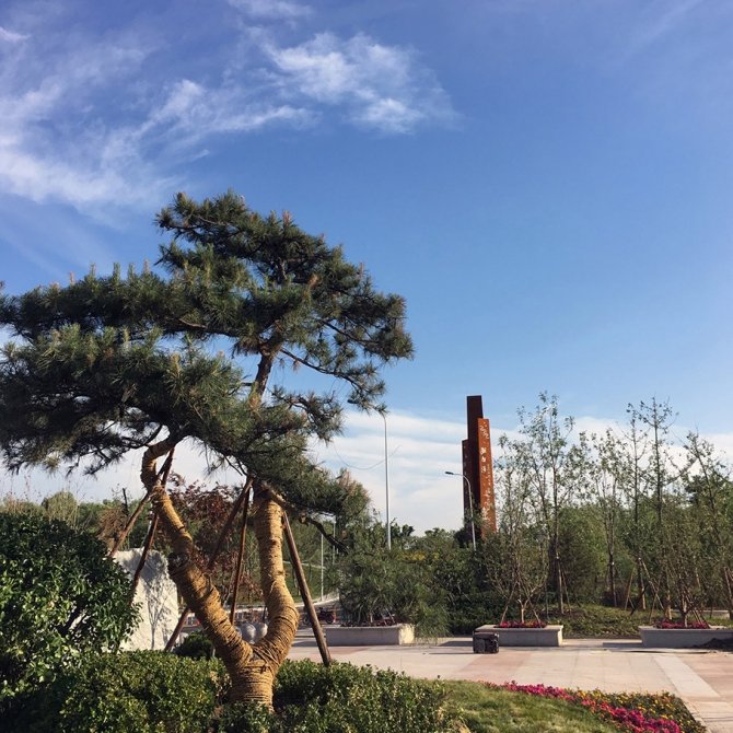 建设地点：