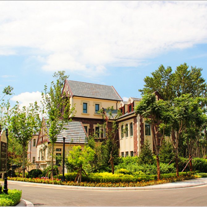 建设地点：