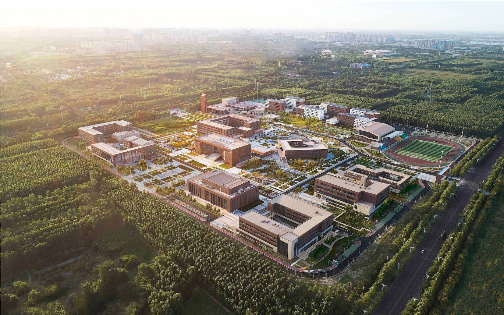 德州高级师范非凡体育官方入口新人权益